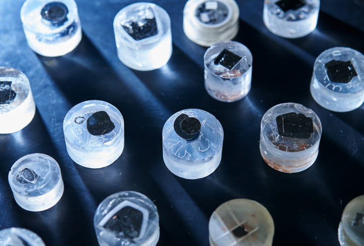 国際的な活躍(世界レベルの研究)